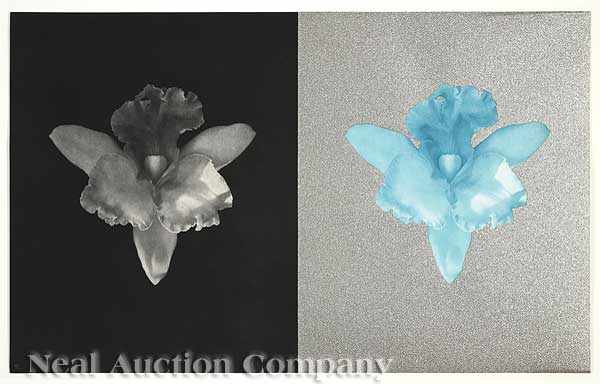 Appraisal: Robert Mapplethorpe American - Tampa Orchid photogravure screenprint on paper