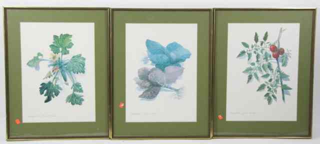 Appraisal: John Miller Vegetables three signed and inscribed lithographs cm x