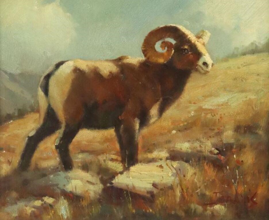 Appraisal: Framed oil on canvas painting Bighorn Sheep signed lower right