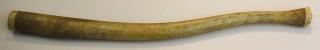 Appraisal: Inuit carved walrus oosik bone club grizzly bear dog decoration