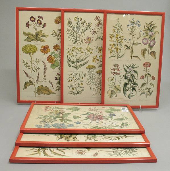 Appraisal: A set of six framed hand colored botanical prints Each