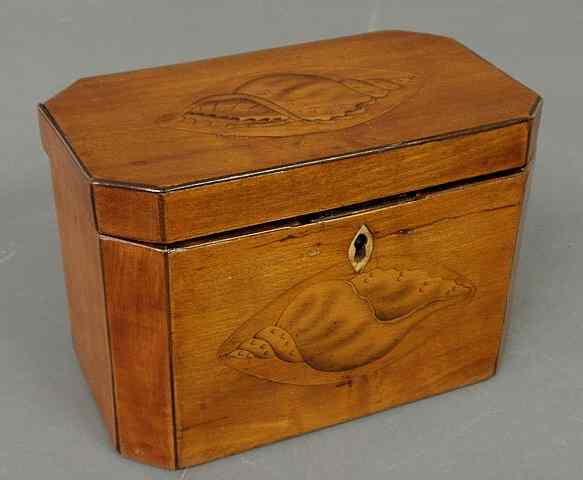 Appraisal: Georgian mahogany tea caddy with conch shell inlay and metal