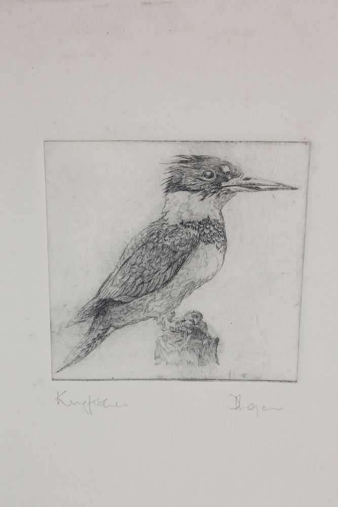 Appraisal: David Lazarus Etching Kingfisher David Lazarus Etching Kingfisher signed in