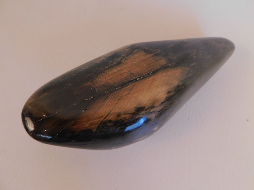 Appraisal: FOSSILIZED WHALE TOOTH Large ancient fossilized whale tooth polished surface