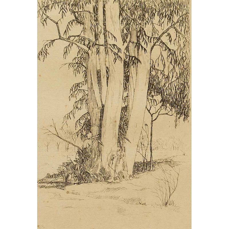 Appraisal: William Ullrich Etching Framed etching Trees William Ullrich - titled