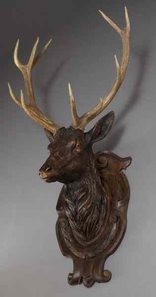 Appraisal: Black Forest carved stag's headhaving five-point antlers on a carved