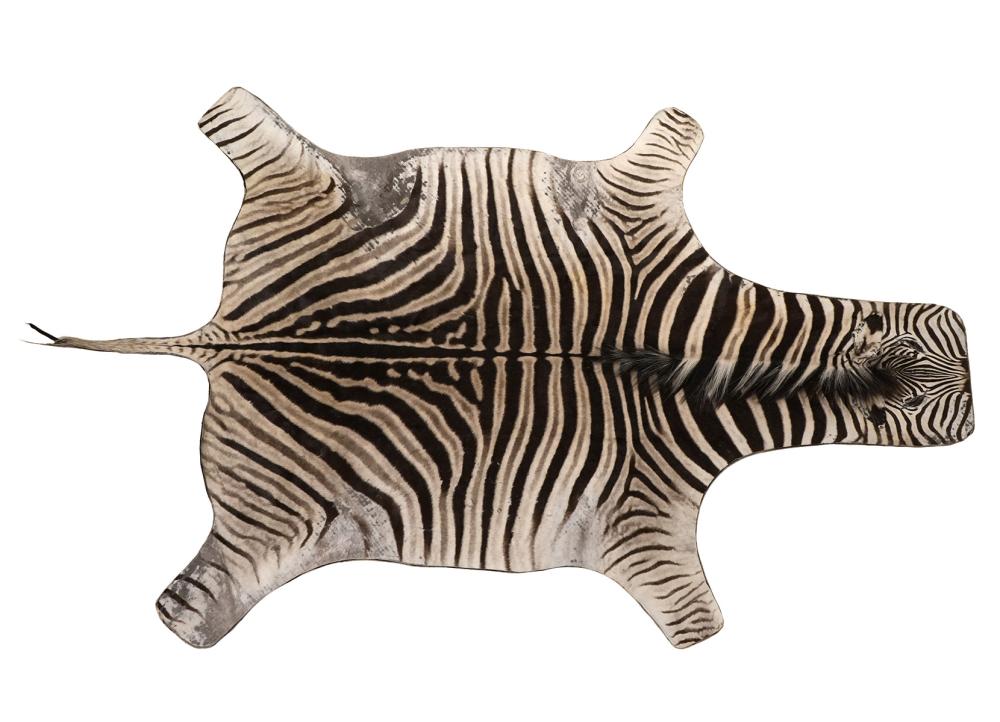 Appraisal: LARGE ZEBRA HIDE RUG WITH FELT BACKINGLarge zebra hide rug