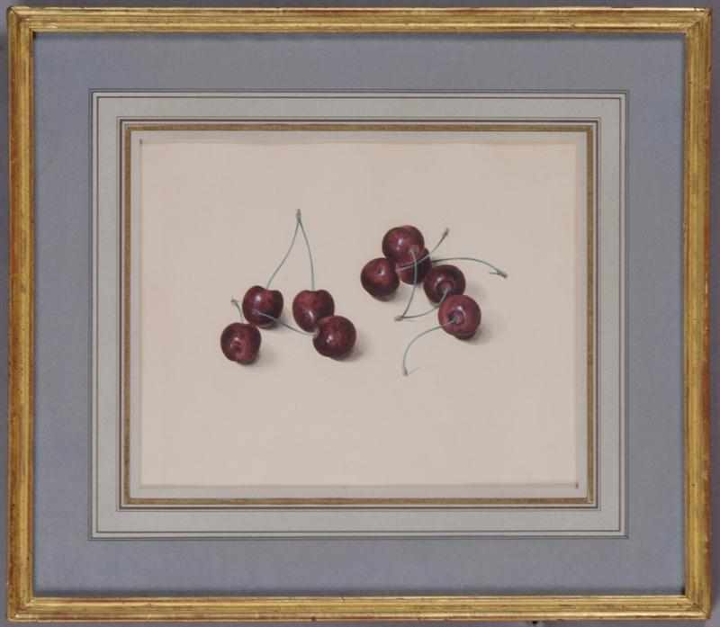 Appraisal: ATTRIBUTED TO FRANZ X GRUBER AUSTRIAN - CHERRIES Watercolor on