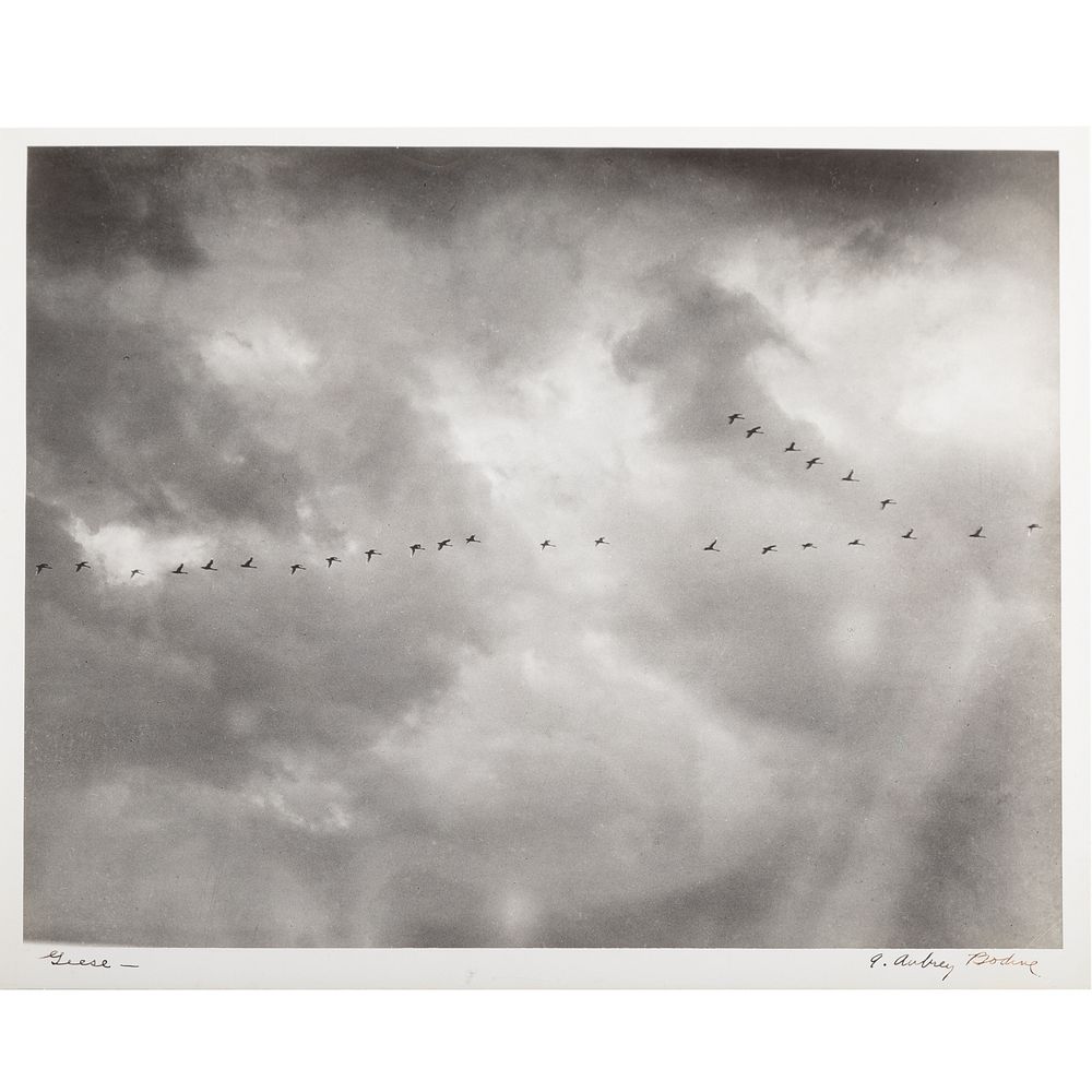 Appraisal: A Aubrey Bodine Geese American - Gelatin silver print signed