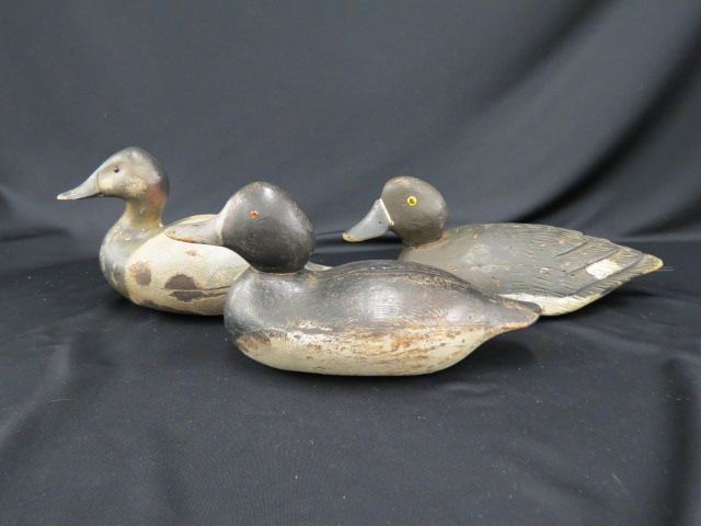 Appraisal: Carved Wooden Duck Decoys includes canvasback hen more