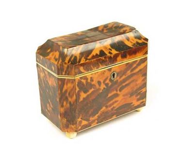 Appraisal: A Regency tortoiseshell tea caddy with a sloping top and