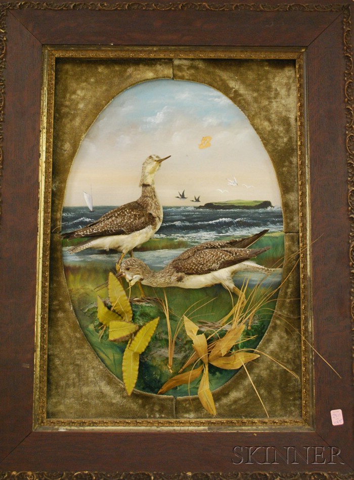 Appraisal: Late Victorian Framed Shorebirds and Painted Scene Diorama damage missing