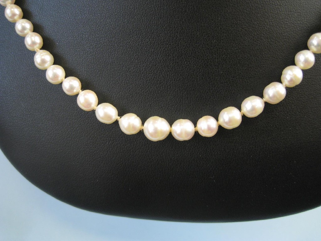 Appraisal: A single row of graduated freshwater Pearls