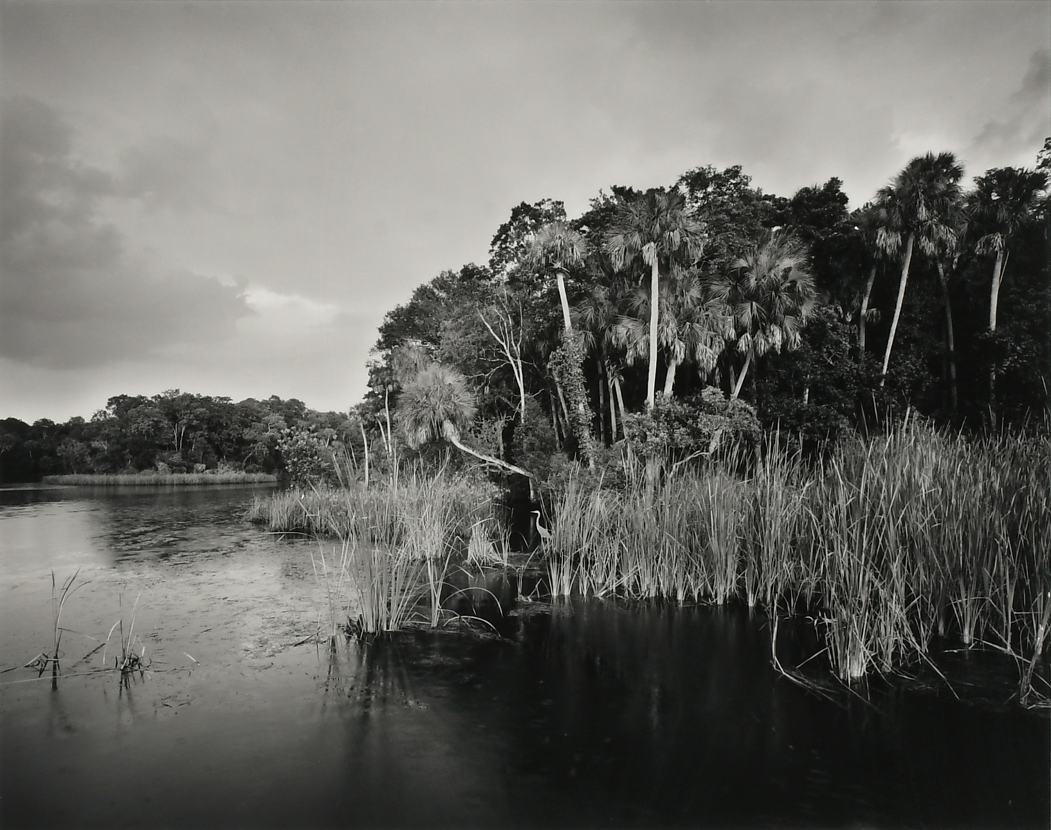 Appraisal: BUTCHER Clyde American b ''Chassahowitzka River '' Special Edition Photograph