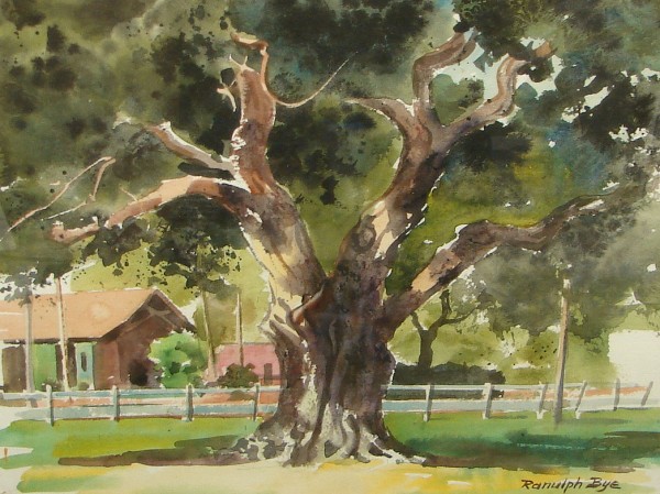 Appraisal: Old Cedar Tree St Simon Island Georgia dated February watercolor