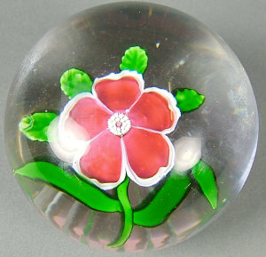 Appraisal: Baccarat red and white Primrose paperweight with five petals and