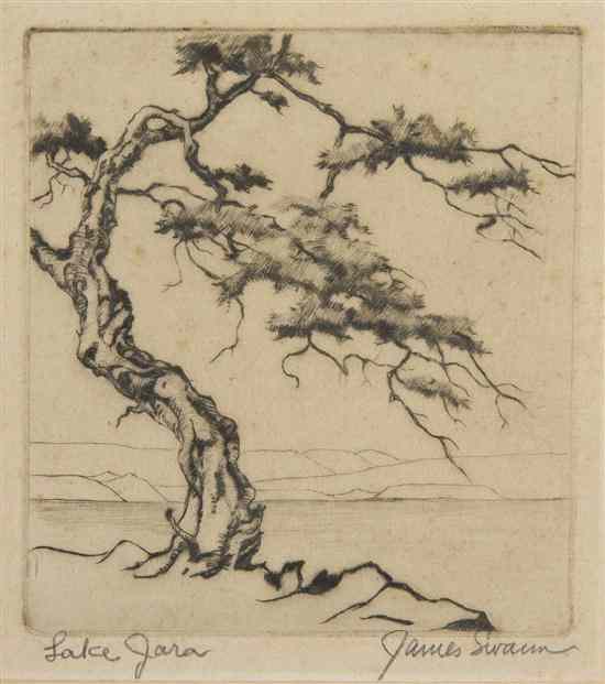 Appraisal: James Swann American - Lake Jara etching signed James Swann