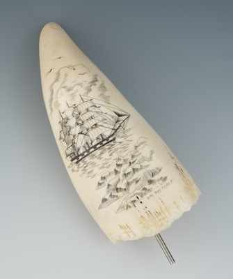 Appraisal: Ivory Scrimshaw by William Metcalf Natural ivory with scrimshaw image