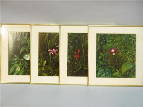 Appraisal: ROB KNAUS AUSTRIAN SET OF FOUR BOTANICALS Photographic print x