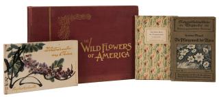 Appraisal: Lot of Four Books Pertaining to Botany and Botanical Illustration