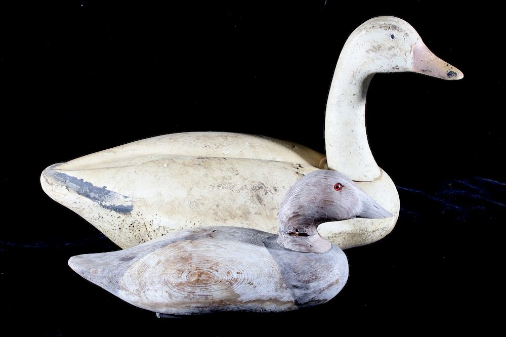 Appraisal: Foam Goose and Hand-carved Canvasback decoys This lot contains a