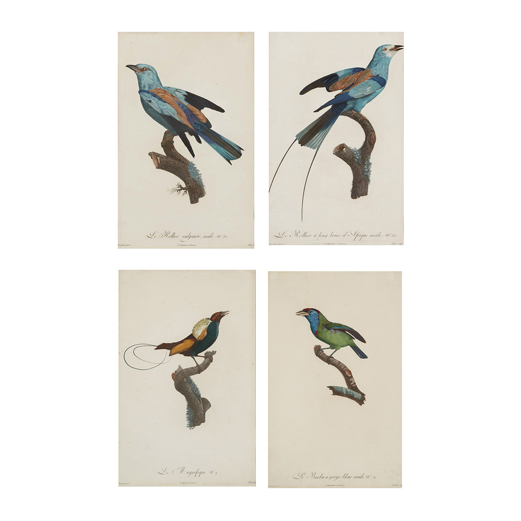 Appraisal: After Jacques Barraband TROPICAL BIRD STUDIES Four hand-colored color stipple