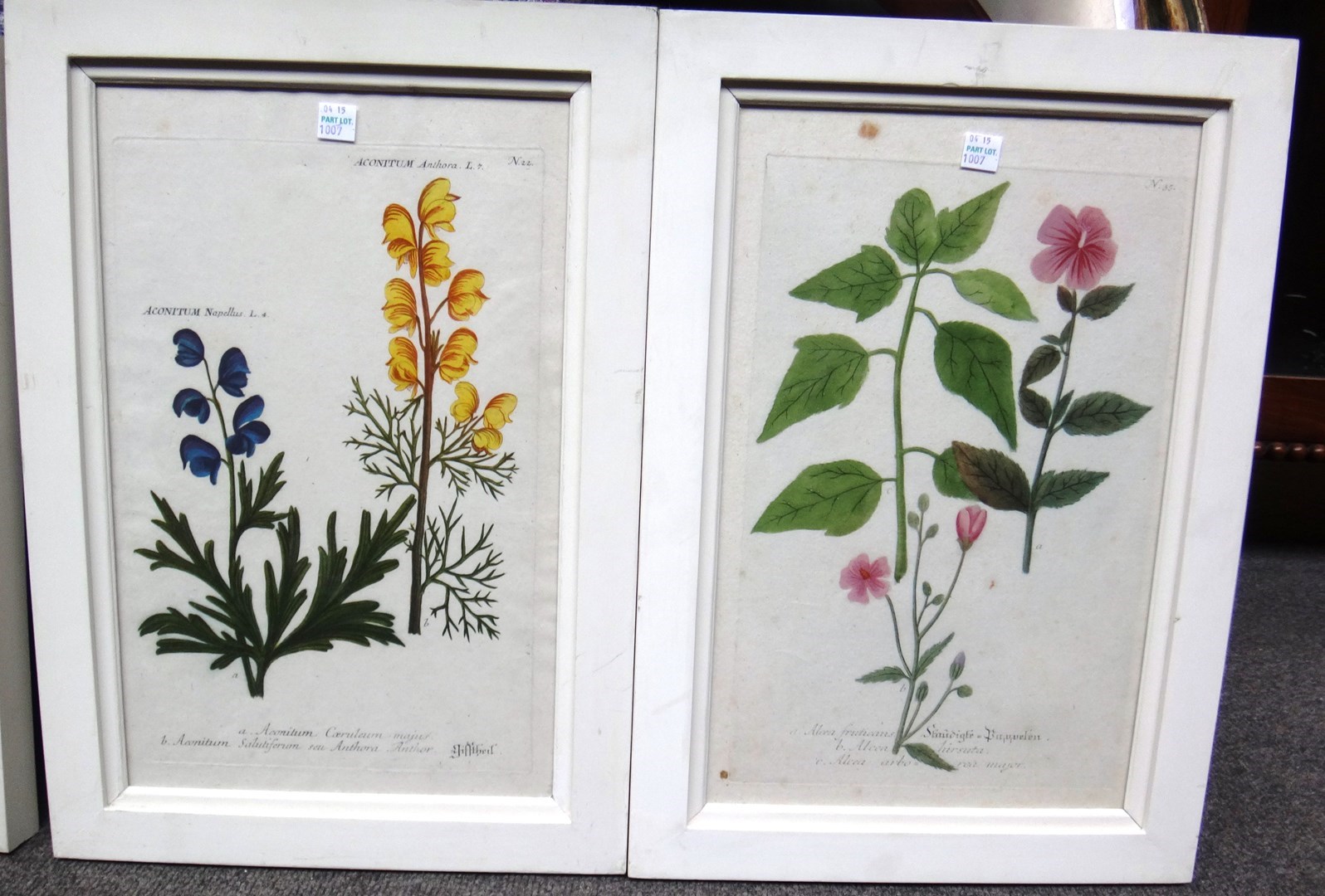 Appraisal: English School th century Botanical studies a set of eight