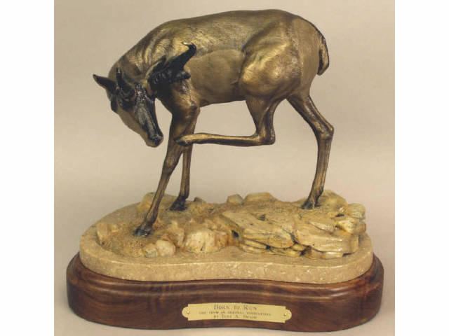 Appraisal: Born to Run great pronghorn bronze antelope by Todd Swaim