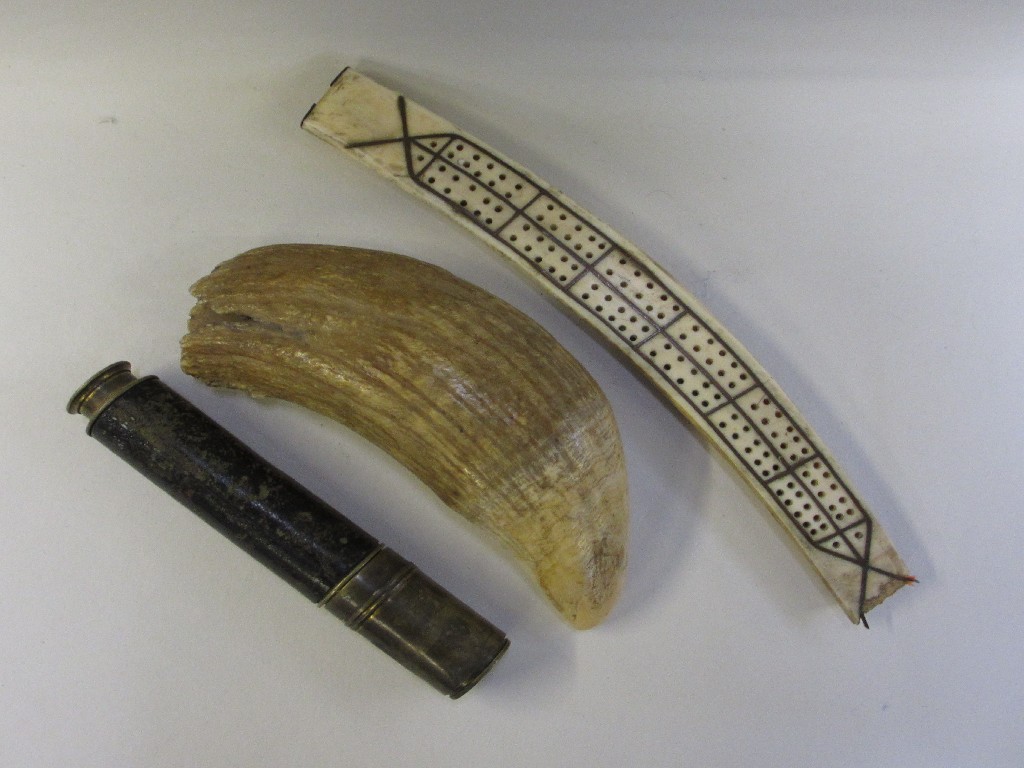 Appraisal: Whales tooth tusk cribbage board and a small telescope