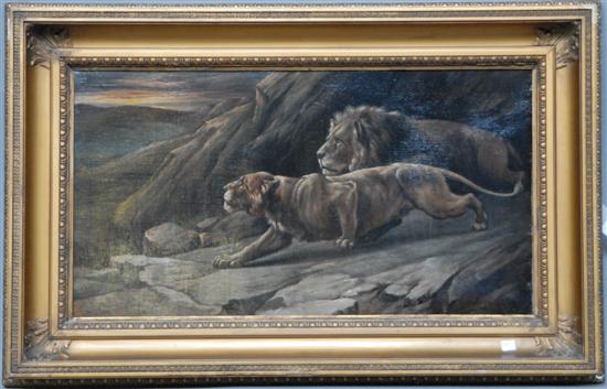 Appraisal: BEARD J Oil on canvas Pair of lions in a