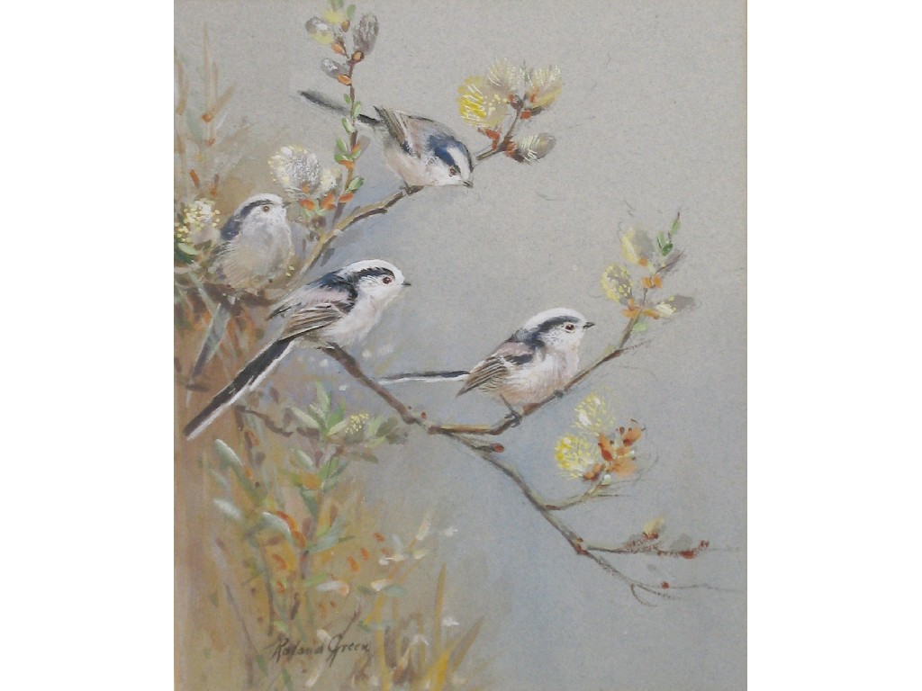 Appraisal: ROLAND GREEN Four birds on a blossoming branch signed watercolour