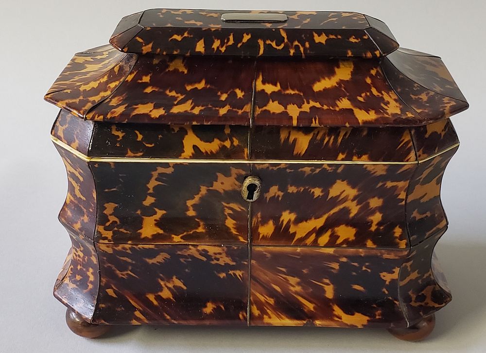 Appraisal: English Regency Tortoiseshell Double Compartment Tea Caddy th Century English