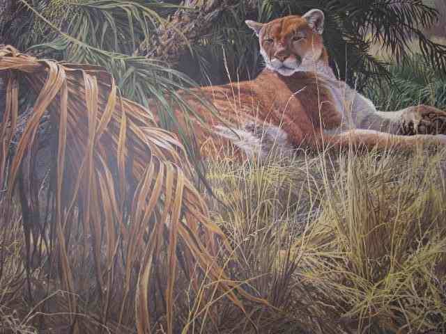 Appraisal: Assorted unframed wildlife lithographs by John C Pitcher John Seerey-Lester