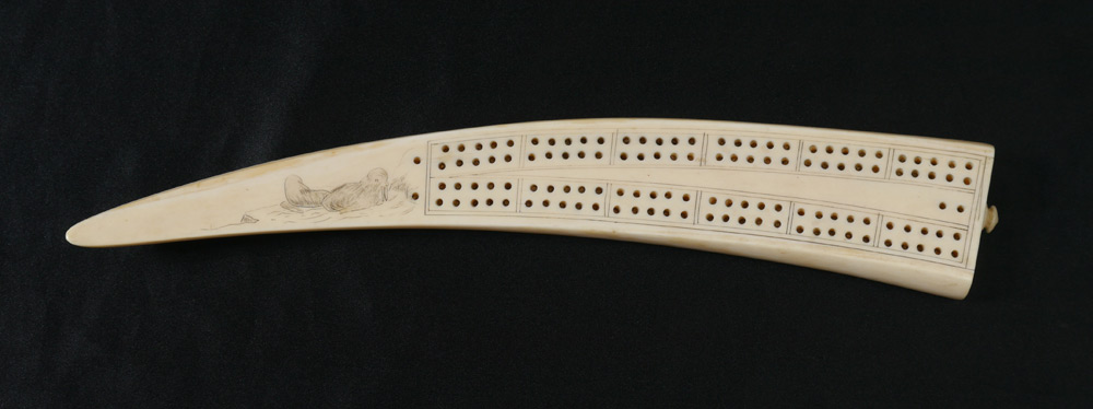 Appraisal: WALRUS IVORY TUSK CRIBBAGE BOARD Scrimshaw of walrus on ledge