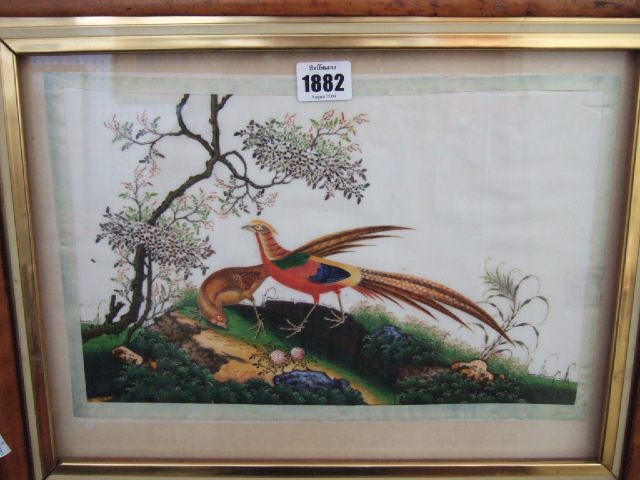 Appraisal: Chinese School th century Studies of exotic birds watercolour on