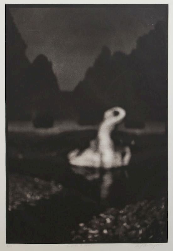 Appraisal: David Armstrong - David Armstrong - Fountain at Schonbrunn Photogravure