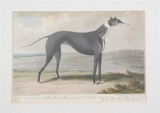 Appraisal: AFTER SAMUEL ALKEN British - Piper Celebrated Greyhound the property