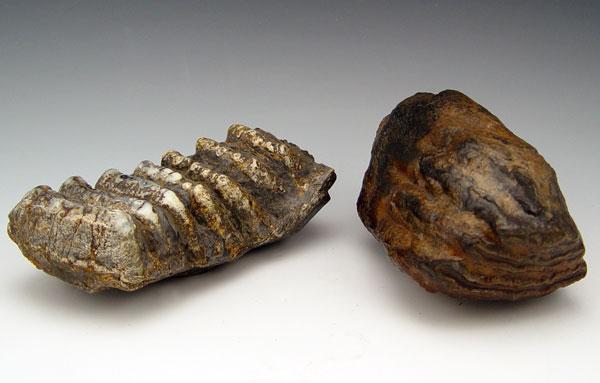 Appraisal: PIECE FOSSIL MASTODON MAMMOTH TOOTH To include Asian mammoth tooth