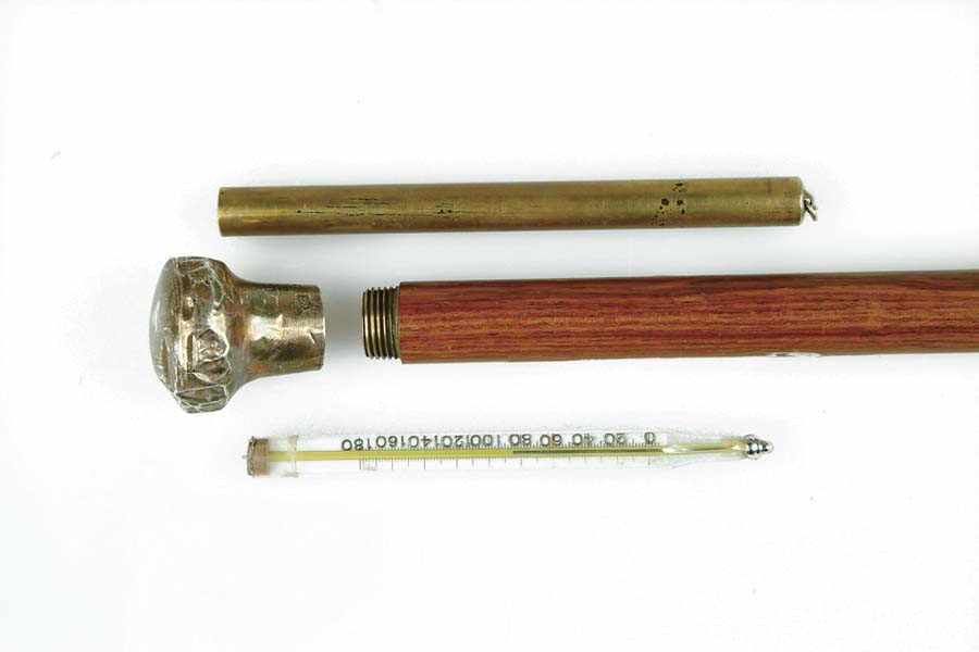 Appraisal: VETERINARIANS CANE A th C made gadget cane with hallmarked