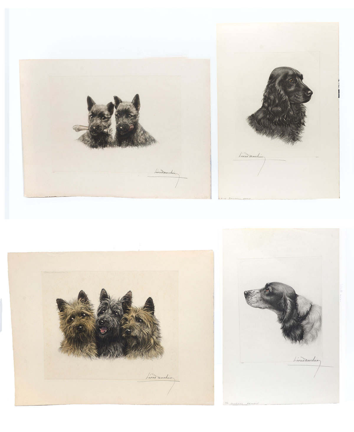 Appraisal: DANCHIN Leon American - Dog Etchings to include Portrait of