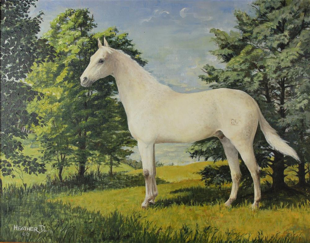 Appraisal: HEATHER ST CLAIR DAVIS AMERICAN - HUNGARIAN THOROUGHBRED HORSE Oil