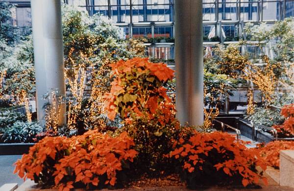 Appraisal: Dan Graham American Chem-core Corporate Atrium Planting inscribed and dated