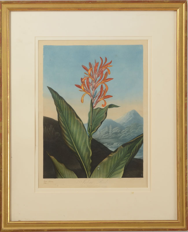 Appraisal: ROBERT JOHN THORNTON - INDIAN REED AND THE NARROW-LEAVED KALMIA