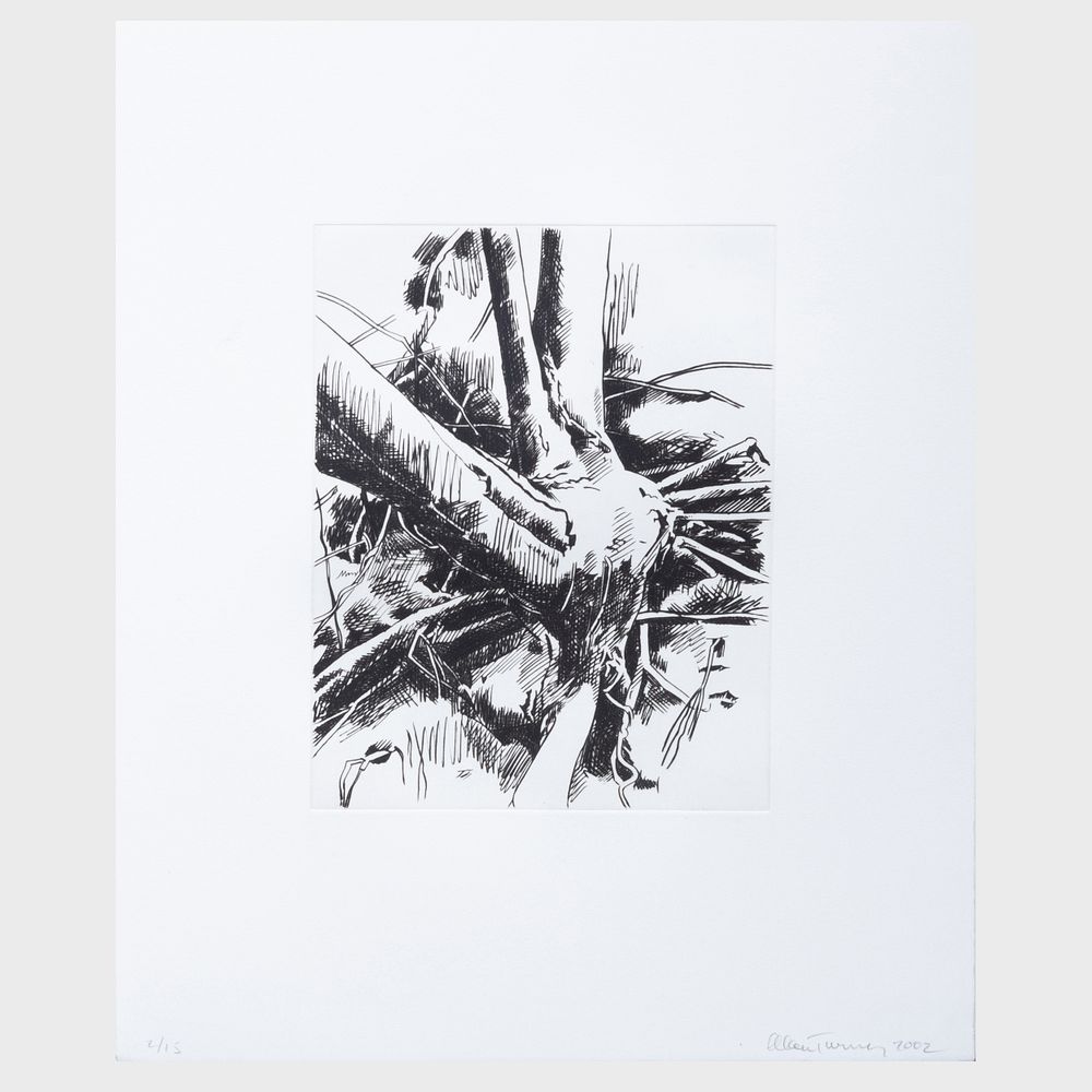 Appraisal: Alan Turner - Trees and Streams and Three etchings in