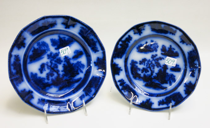 Appraisal: TWO J WEDGWOOD FLOW BLUE CHAPOO IRONSTONE PLATES - Staffordshire