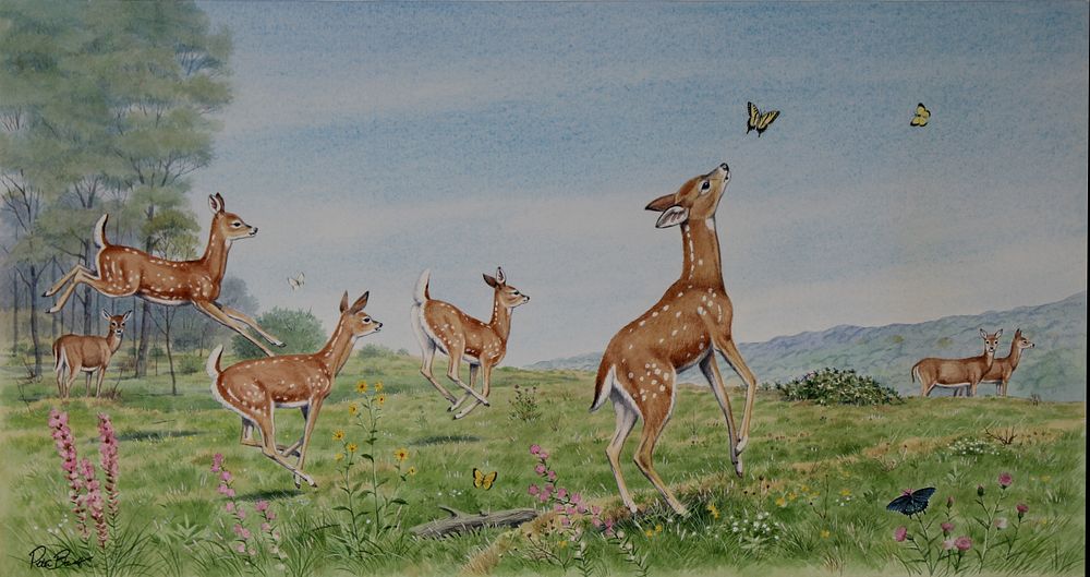 Appraisal: Peter Barrett B Baby Deer w Butterfly Peter Barrett B