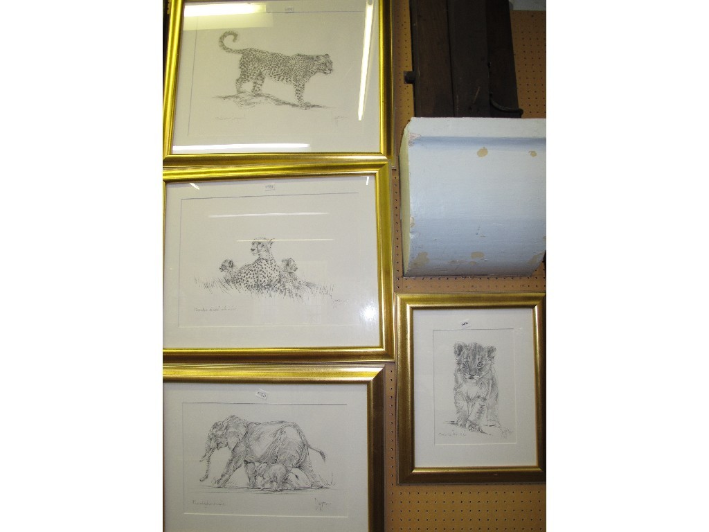 Appraisal: PETER DIGGERY Lot comprising four pencil drawings from 'Wildlife Series'