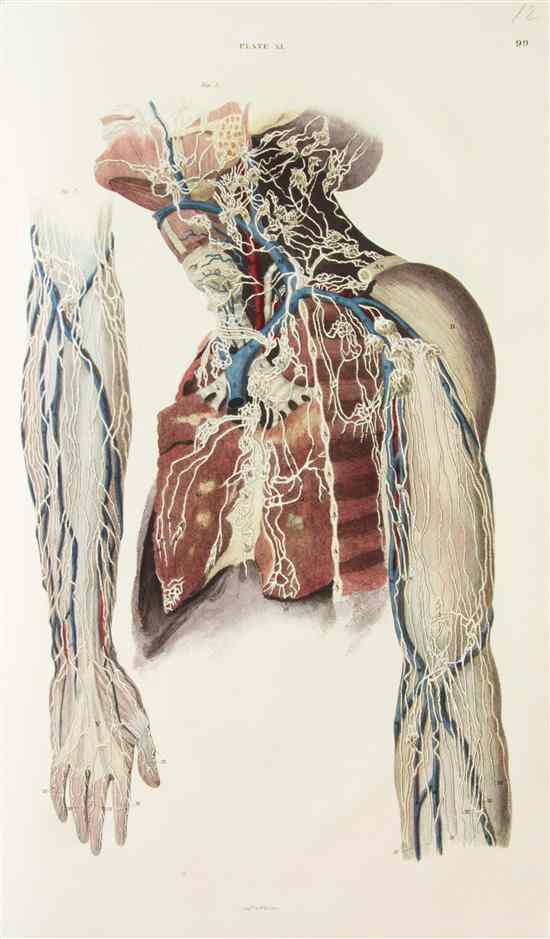 Appraisal: ANATOMY LIZARS JOHN A System of Anatomical Plates of the