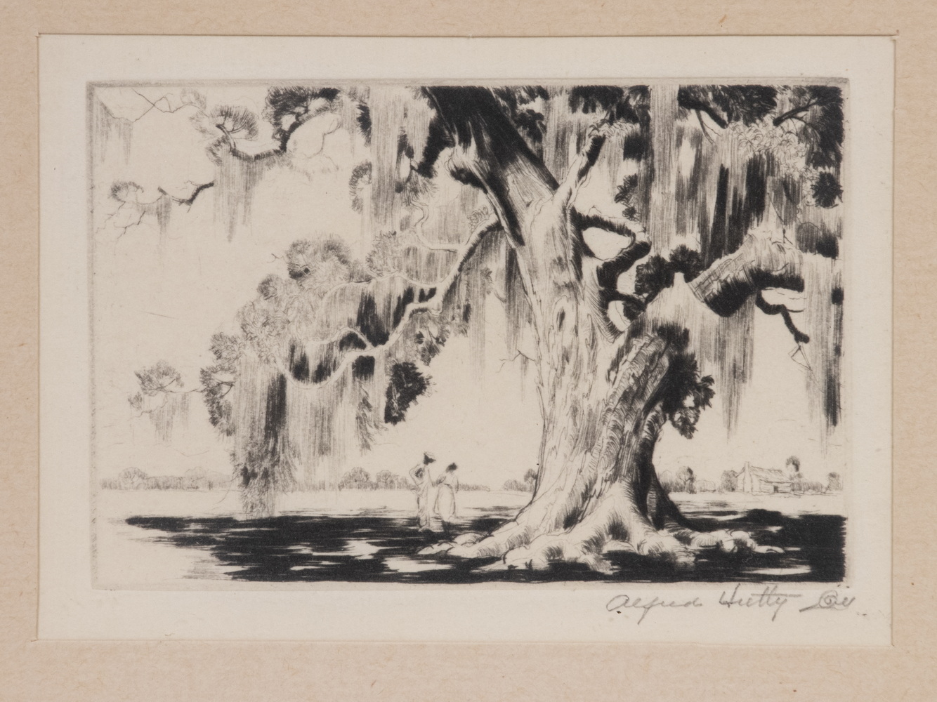 Appraisal: ALFRED HEBERT HUTTY NY SC MI - Edisto Live Oak