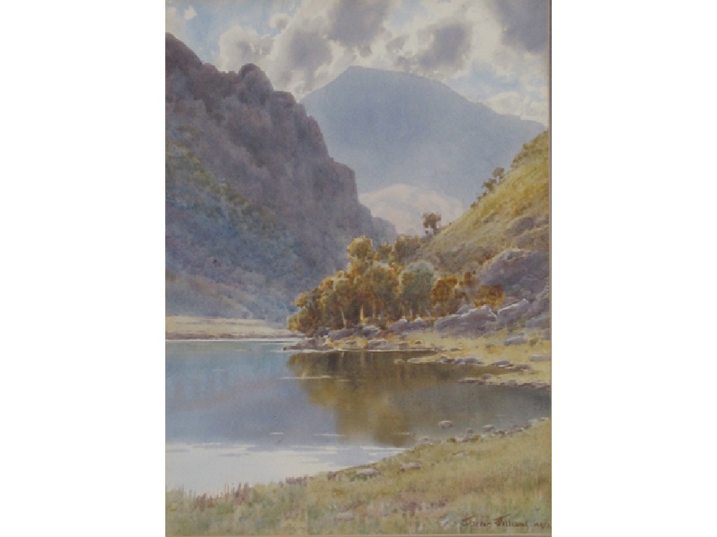 Appraisal: DARREN WILLIAMS A loch in a highland landscape signed watercolour